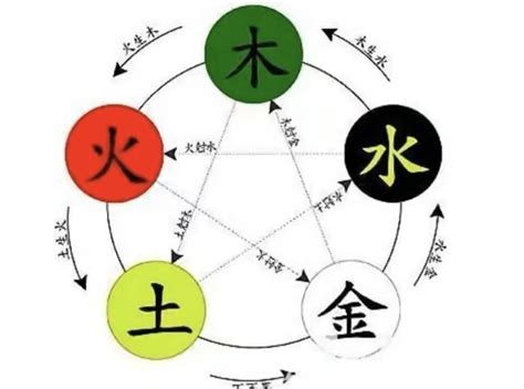 森五行|森字的五行是什么,森的五行属性及吉利寓意